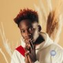 Mr Eazi