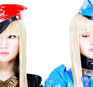 FEMM