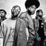 The Roots