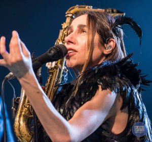 PJ Harvey