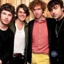 The Kooks