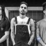 Fever 333