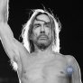 Iggy Pop