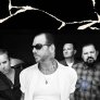 Social Distortion